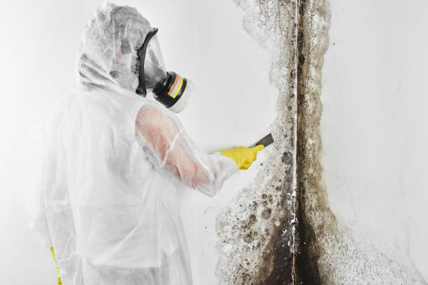 Best Mold Testing  in Oconomowoc, WI