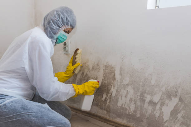 Best Residential Mold Removal  in Oconomowoc, WI