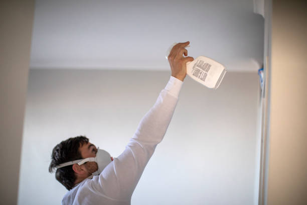 Best Certified Mold Removal  in Oconomowoc, WI
