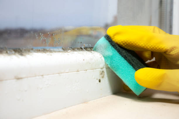 Best Mold Removal Process  in Oconomowoc, WI