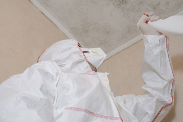 Office Mold Removal Services in Oconomowoc, WI