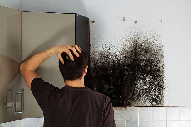 Best Mold Cleaning Services  in Oconomowoc, WI